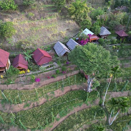 Rinjani Mountain Garden Otel Bayan Dış mekan fotoğraf