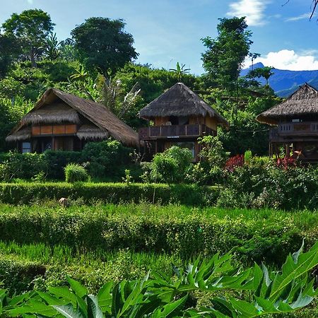 Rinjani Mountain Garden Otel Bayan Dış mekan fotoğraf