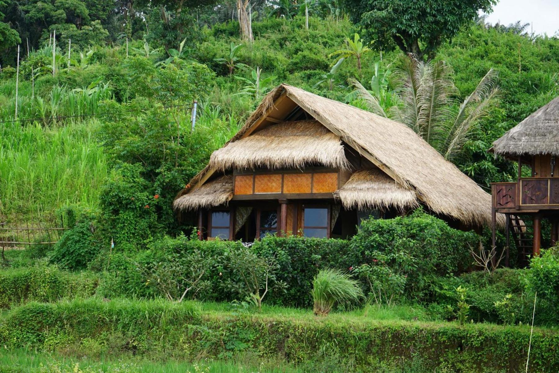 Rinjani Mountain Garden Otel Bayan Dış mekan fotoğraf