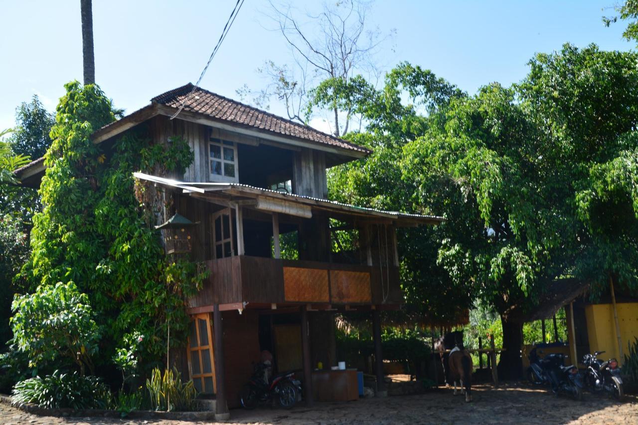 Rinjani Mountain Garden Otel Bayan Dış mekan fotoğraf