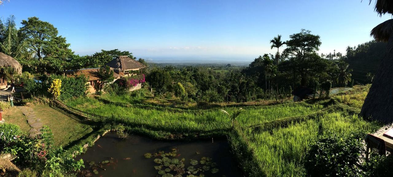 Rinjani Mountain Garden Otel Bayan Dış mekan fotoğraf