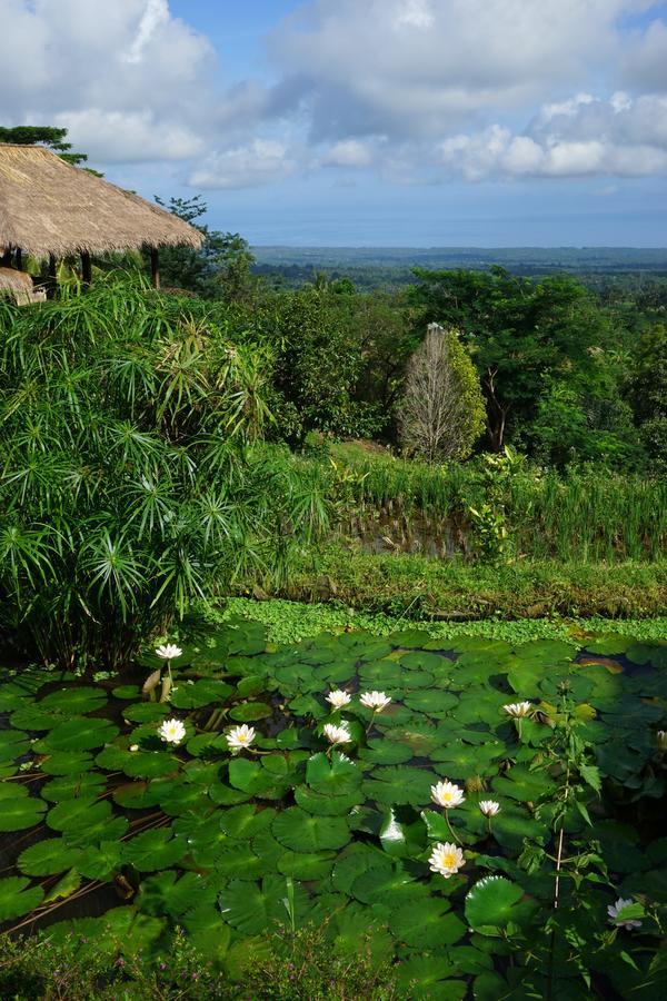 Rinjani Mountain Garden Otel Bayan Dış mekan fotoğraf