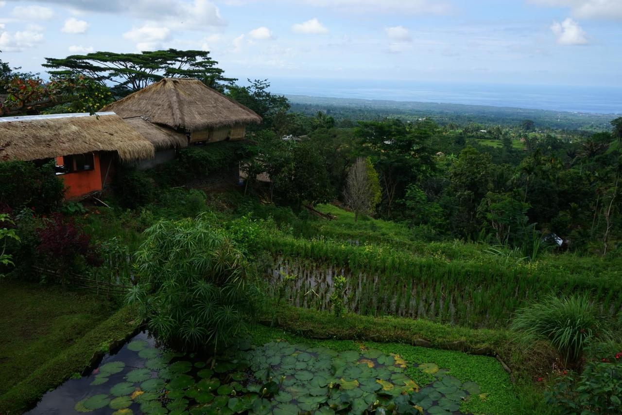 Rinjani Mountain Garden Otel Bayan Dış mekan fotoğraf