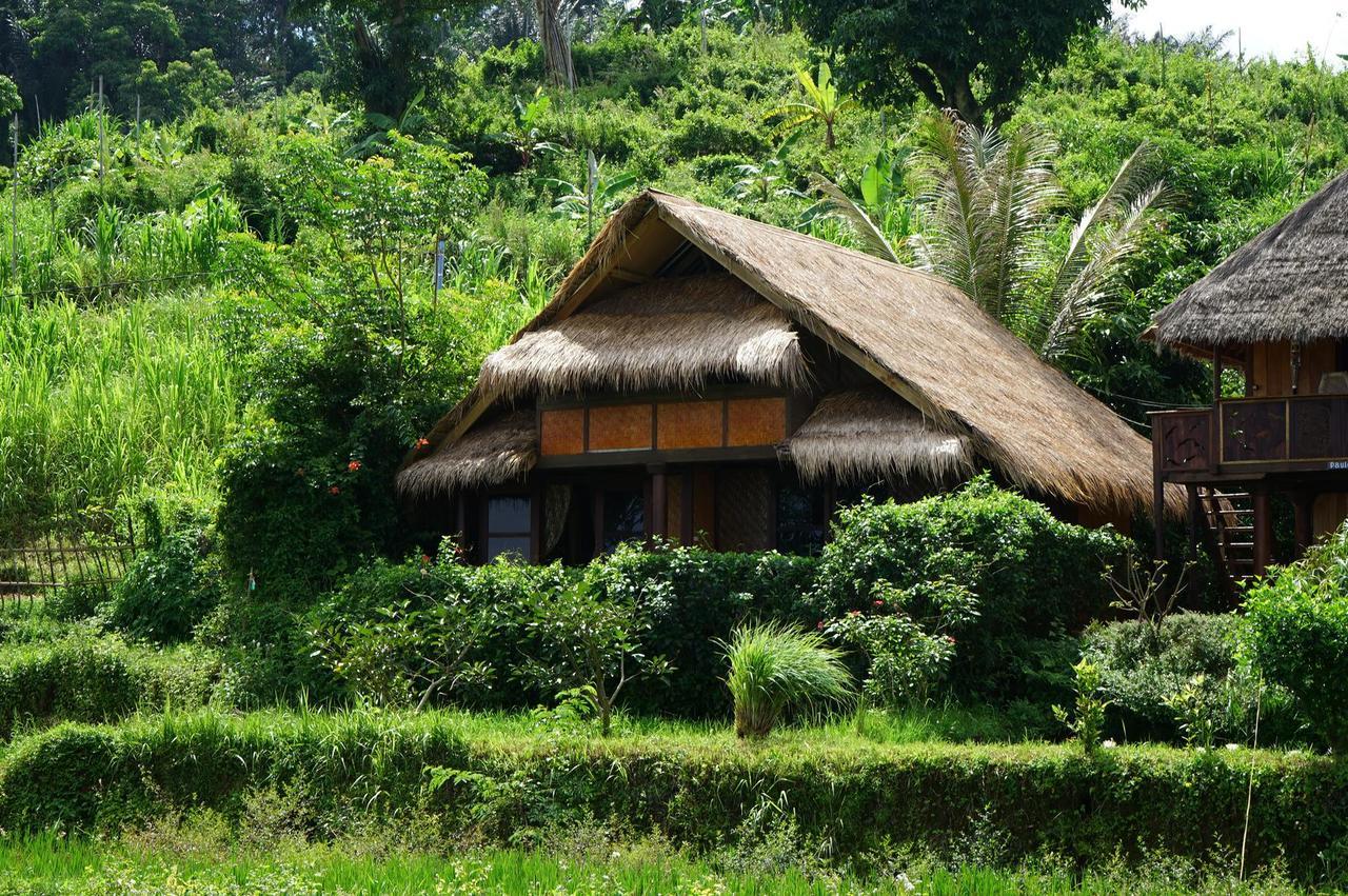 Rinjani Mountain Garden Otel Bayan Dış mekan fotoğraf