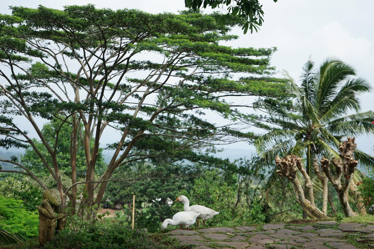 Rinjani Mountain Garden Otel Bayan Dış mekan fotoğraf