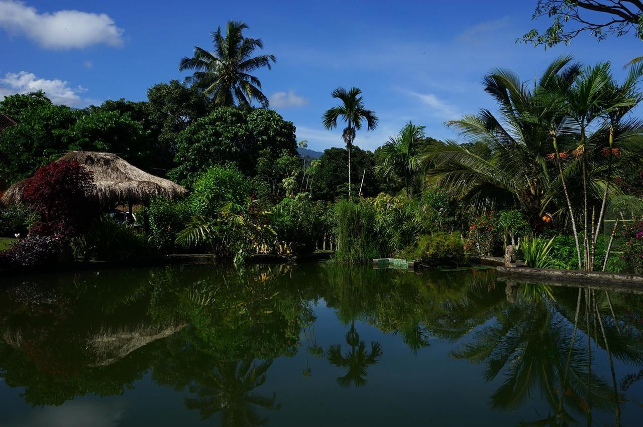 Rinjani Mountain Garden Otel Bayan Dış mekan fotoğraf