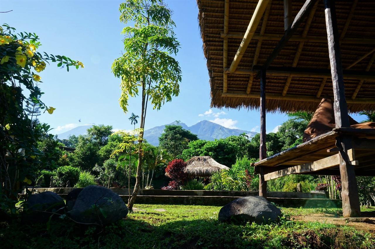 Rinjani Mountain Garden Otel Bayan Dış mekan fotoğraf